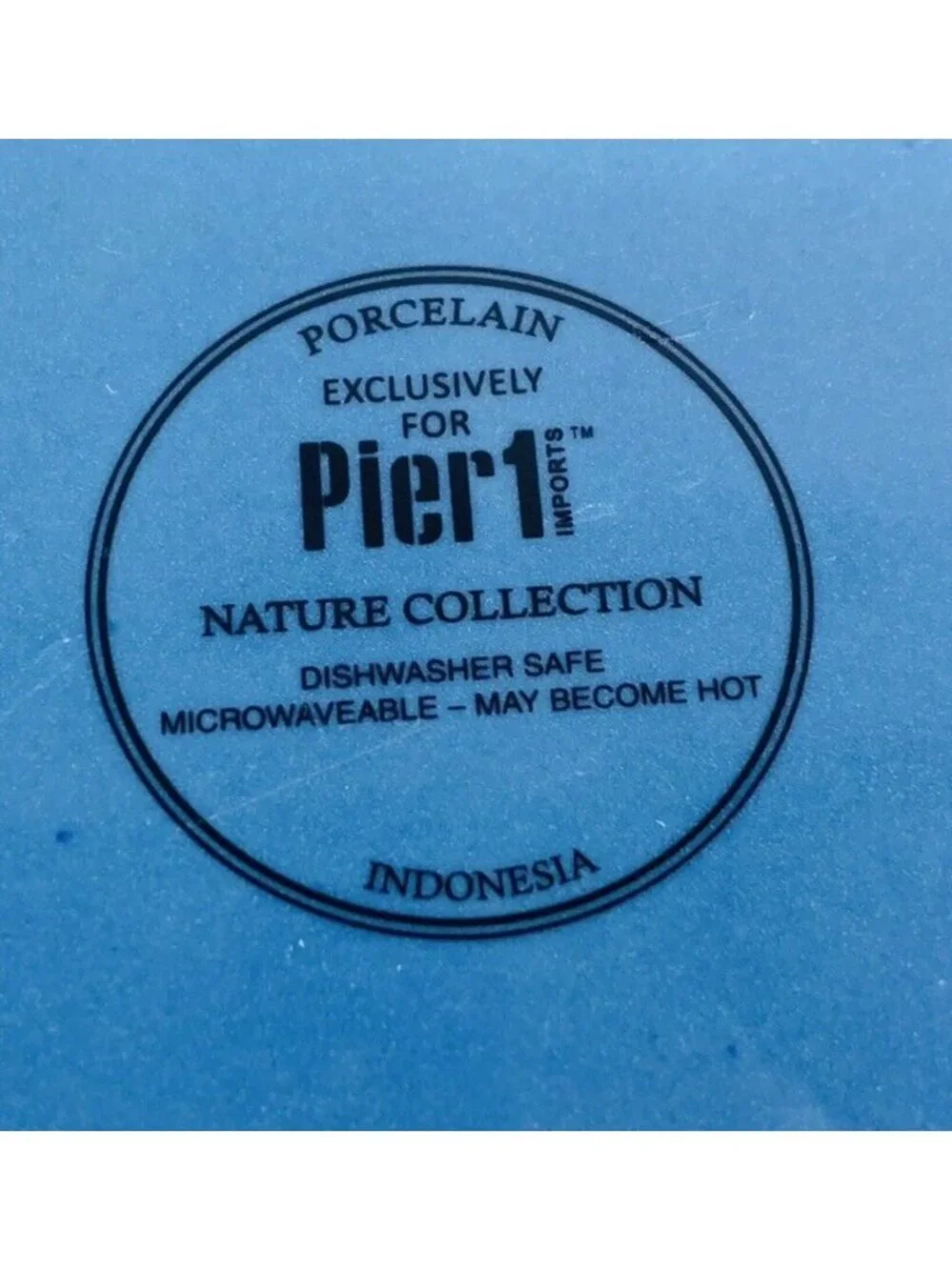 Pier 1 NATURE COLLECTION Medium Blue Splatter Porcelain 8